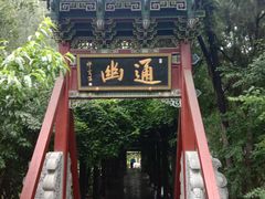 -晋祠公园