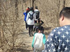 -北京鹫峰国家森林公园