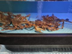 -阿伟海鲜楼·福建菜(延寿店)