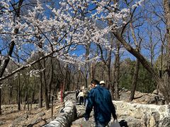 -阳台山自然风景区