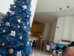 -深圳东部华侨城瀑布酒店