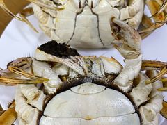 -蟹天蟹地农家菜·阳澄湖大闸蟹(浅水湾店)