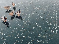 -后海公园