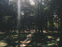 -八大关景区