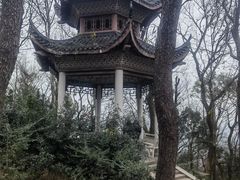 -岳麓山风景名胜区