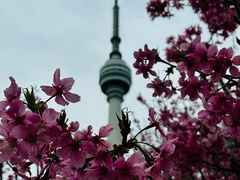-龟山风景区-龟山电视塔