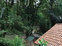 -吉隆坡雀鸟公园