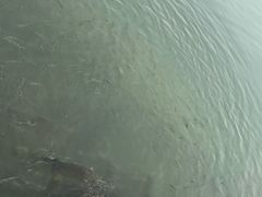-桐乡凤凰湖