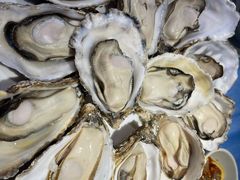 -千岛蚝高压锅生蚝·人参火锅(白云万达店)