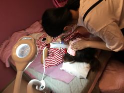 -Pink You美甲美睫纹绣定制中心