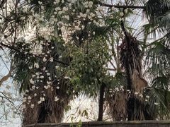 -成都市文殊院