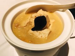 松茸菌鸡汁卤水豆腐-西郊5号·Maggie 5
