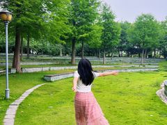 -合肥滨湖国家森林公园