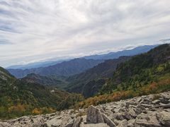 -朱雀国家森林公园