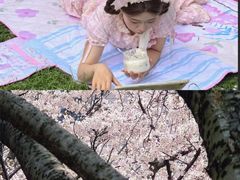 -堤角公园