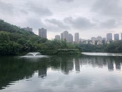 -重庆彩云湖湿地公园