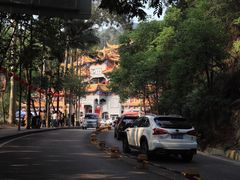 -东莞市大岭山森林公园