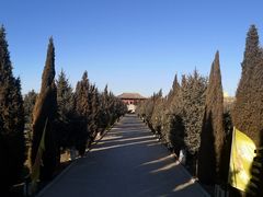 -中华三祖圣地黄帝城遗址文化旅游区