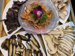 -大理董·董家小厨野生菌火锅(古城旗舰店)
