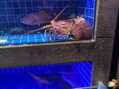 -徐记海鲜(观沙岭|滨江新城店)