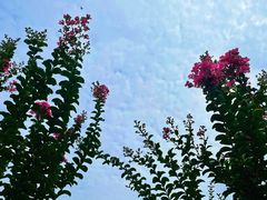 -孔雀湖生态旅游区