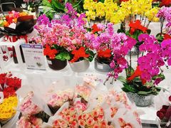-盒马X会员店(王府井奥莱UP TOWN店)