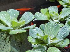 -31号公馆(黄兴广场白果园店)