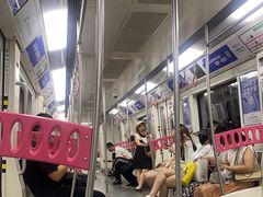 -大龙山(地铁站)