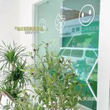 南京探店｜雾造明瓦廊新店