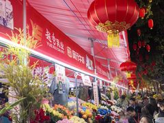 -越秀西湖花市(广州城市广场花卉店)