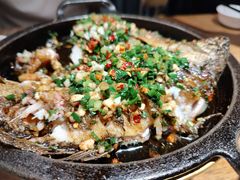 -聚鑫朋酸菜肥肠(文艺路口店)
