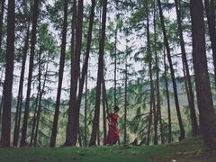 -硗碛藏寨·神木垒景区