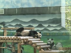 -柳州市动物园