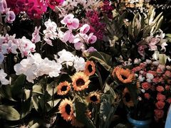 -春暖花开(西溪店)