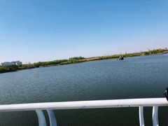 -大兴滨河森林公园