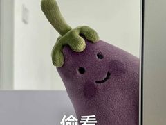 -夏记烤官达人·徐州鲜羊肉串(江宁店)