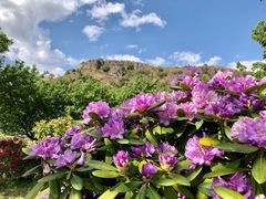 -名花谷生态庄园