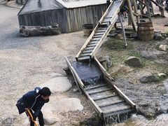 -疏芬山金矿
