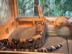 -上海昆虫博物馆