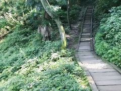 -青城山