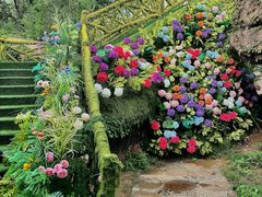 -沂蒙云瀑洞天景区