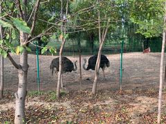-第五季龙水凤港生态露营农场