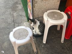 小喵喵只是为了凑图用的哈-豪香里脊肉串(大中路店)
