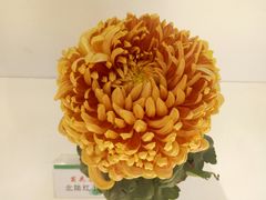 -汇龙潭