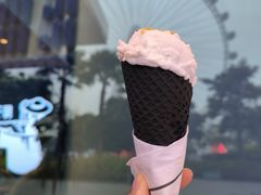 -蔻蔻椰·鲜萃椰子水(欢乐港湾店)