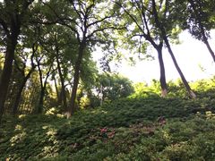 -上海市保健医疗中心(华东疗养院)