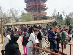 -清明上河园-迎宾门售票处