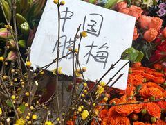 -循礼门鲜花花市(武汉循礼门店)