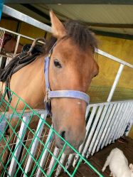 -小蜜蜂农场(凯德七宝购物广场店)