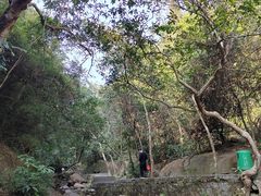 -东莞市大岭山森林公园